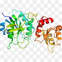 �����߶����������-������