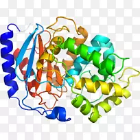 生物线动物剪贴画线-空若网 生物线动物剪贴画线-空若网