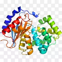 生物线动物剪贴画线-空若网 生物线动物剪贴画线-空若网
