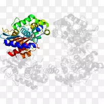 ���߼�����-��-������