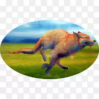 红狐动物野生动物鼻子狐狸新闻-新闻-空若网 红狐动物野生动物鼻子狐狸新闻-新闻-空若网