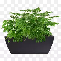 摄影版税-免费-空若网 摄影版税-免费-空若网