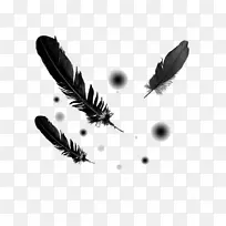 ÄñÀàÓðë-½ðÊôÀ¥³æ-Äñ-¿ÕÈôÍø ÄñÀàÓðë-½ðÊôÀ¥³æ-Äñ-¿ÕÈôÍø