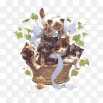 动画动画-空若网 动画动画-空若网