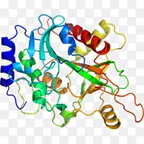 人体首饰有机体线剪贴画线-空若网 人体首饰有机体线剪贴画线-空若网