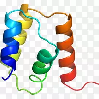 人体珠宝线剪贴画线-空若网 人体珠宝线剪贴画线-空若网