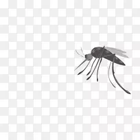 ÎÃÏßÒÕÊõÀ¥³æ»ºûµû-ÎÃ×Ó-¿ÕÈôÍø ÎÃÏßÒÕÊõÀ¥³æ»ºûµû-ÎÃ×Ó-¿ÕÈôÍø