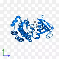 标志品牌设计-空若网 标志品牌设计-空若网