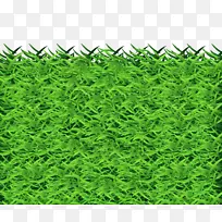 ����-������