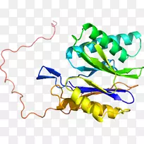 �ߵ������������-������