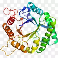 人体珠宝人体行为剪贴画珠宝首饰-空若网 人体珠宝人体行为剪贴画珠宝首饰-空若网
