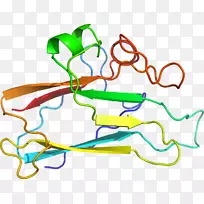 线点生物剪贴画线-空若网 线点生物剪贴画线-空若网