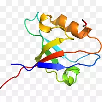 �ߵ������-��-������