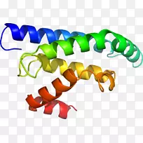 生物线动物剪贴画线-空若网 生物线动物剪贴画线-空若网