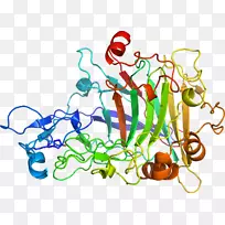 �ߵ������������-������