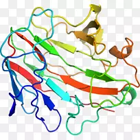 线点生物剪贴画线-空若网 线点生物剪贴画线-空若网