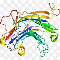 线点生物剪贴画线-空若网 线点生物剪贴画线-空若网