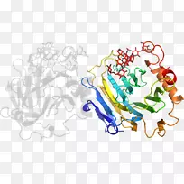 ����ƽ����Ƶ��������-������