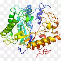 ���߼�����-��-������