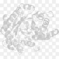 图案设计-空若网 图案设计-空若网
