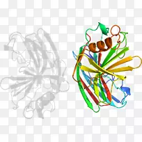 ����������ͼ����Ƽ�������-������