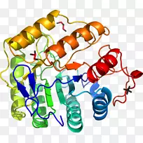 �ߵ�������������-������