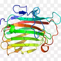 �ߵ������-��-������