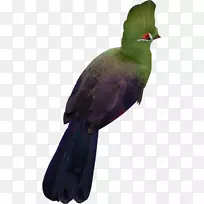 à¹ÀදÎïÓðë-¿ÕÈôÍø à¹ÀදÎïÓðë-¿ÕÈôÍø