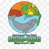 达纳点鲸鱼节-空若网 达纳点鲸鱼节-空若网