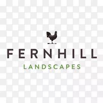 �̱꣺๼���Ϊʳ������-������