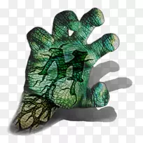 �л������װ�ȫ-������