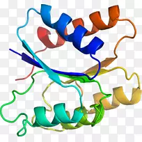 人体首饰有机体线剪贴画线-空若网 人体首饰有机体线剪贴画线-空若网