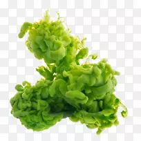 Ë®²Ê»ÓÍ»-¿ÕÈôÍø Ë®²Ê»ÓÍ»-¿ÕÈôÍø