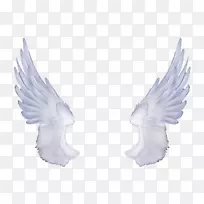 剪贴画-天使翅膀PNG-空若网 剪贴画-天使翅膀PNG-空若网