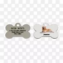 狗动物字体-家庭狗-空若网 狗动物字体-家庭狗-空若网