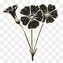 ���꿪��ֲ���л�Ҷֲ��.�¼���-������