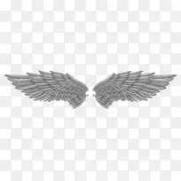 ������-��ʹ���PNG-������