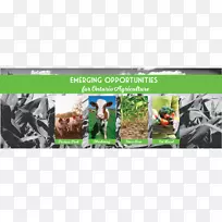 ��ͻ״��ʳ������Ƶ������-������