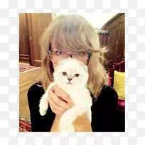 è��è��������-Сè-������