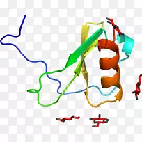 线点剪贴画-线-空若网 线点剪贴画-线-空若网