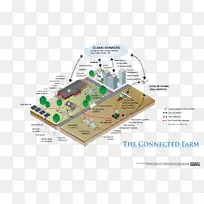 ����ͼ���ߵ��±���˿��������ũ��-������