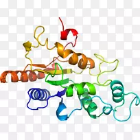 生物线动物剪贴画线-空若网 生物线动物剪贴画线-空若网
