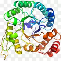 人体首饰有机体线剪贴画线-空若网 人体首饰有机体线剪贴画线-空若网