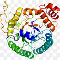 人体首饰有机体线剪贴画线-空若网 人体首饰有机体线剪贴画线-空若网