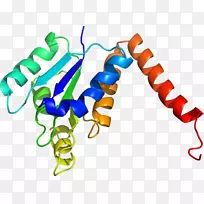 生物线动物剪贴画线-空若网 生物线动物剪贴画线-空若网