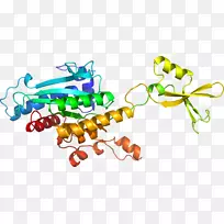 人体首饰有机体线剪贴画线-空若网 人体首饰有机体线剪贴画线-空若网