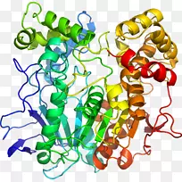 人体首饰有机体线剪贴画线-空若网 人体首饰有机体线剪贴画线-空若网