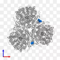 视觉艺术钴蓝色胸针珠宝首饰-空若网 视觉艺术钴蓝色胸针珠宝首饰-空若网