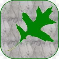 叶绿树字形-空若网 叶绿树字形-空若网