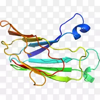 �ߵ������-��-������